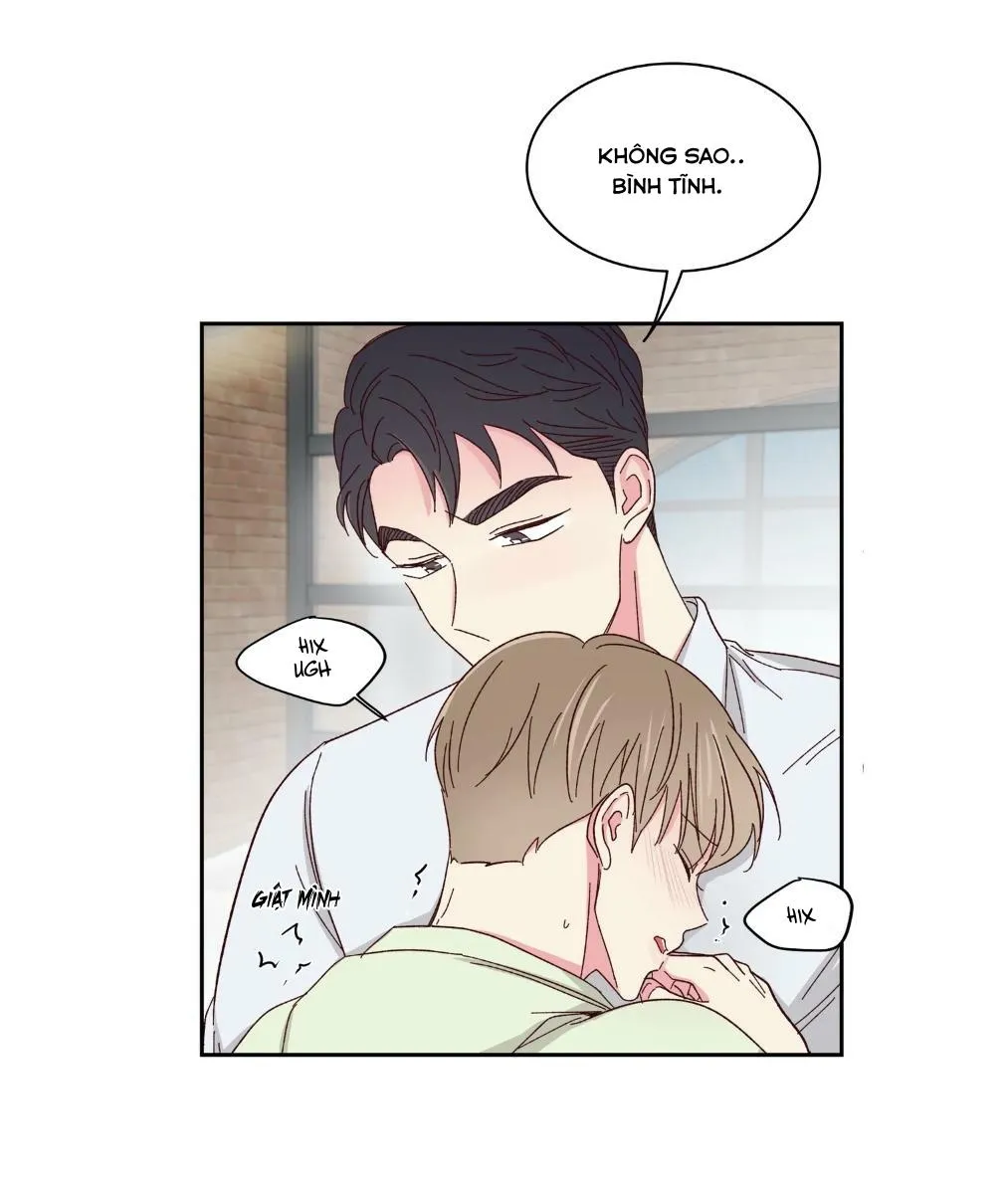 Món Tráng Miệng Của Ngài Giám Đốc Chapter 59 Trang 17