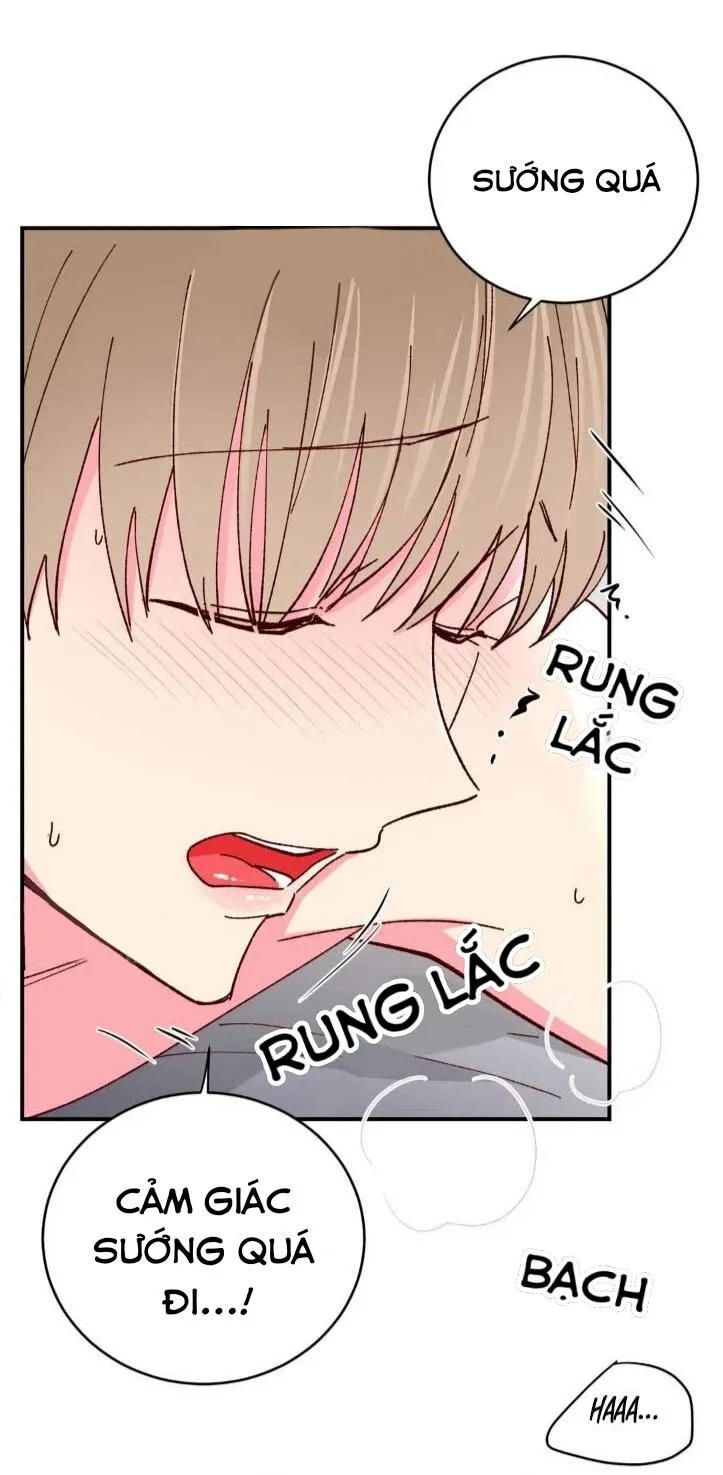 Món Tráng Miệng Của Ngài Giám Đốc Chapter 63 Trang 8