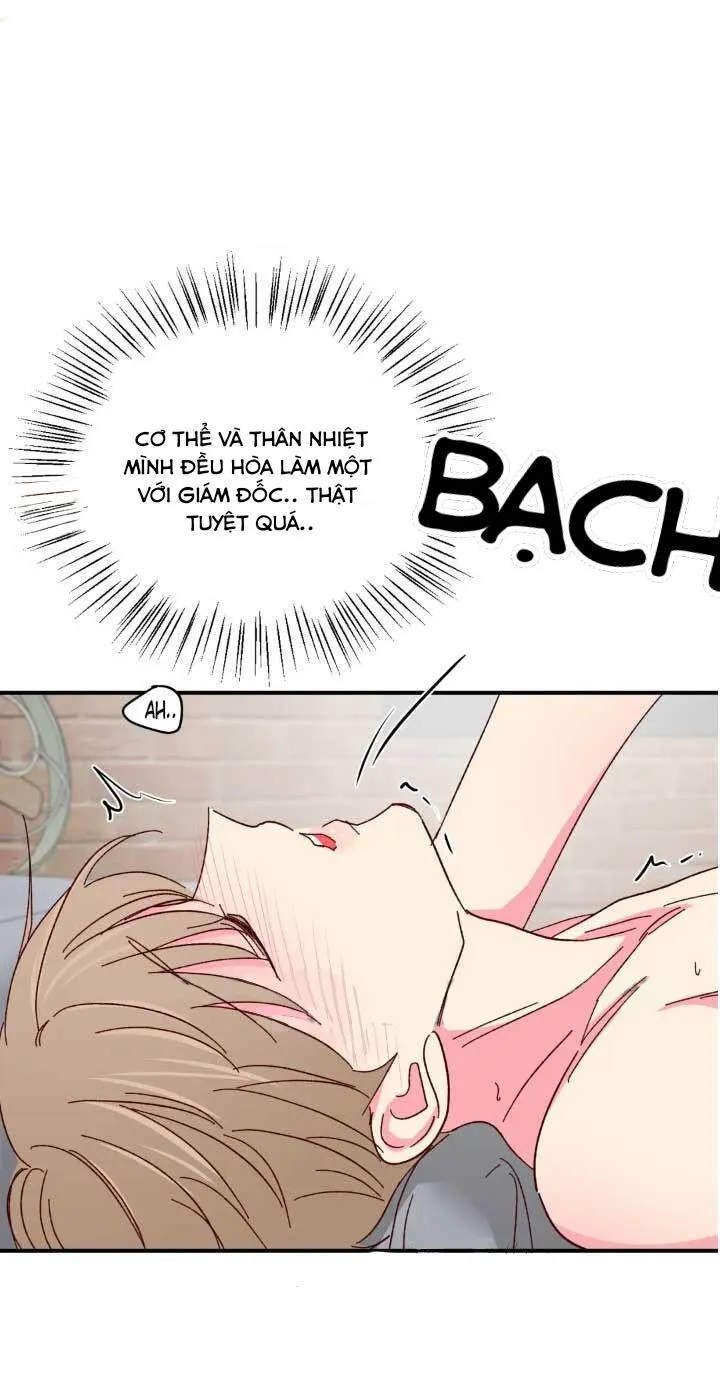 Món Tráng Miệng Của Ngài Giám Đốc Chapter 63 Trang 38