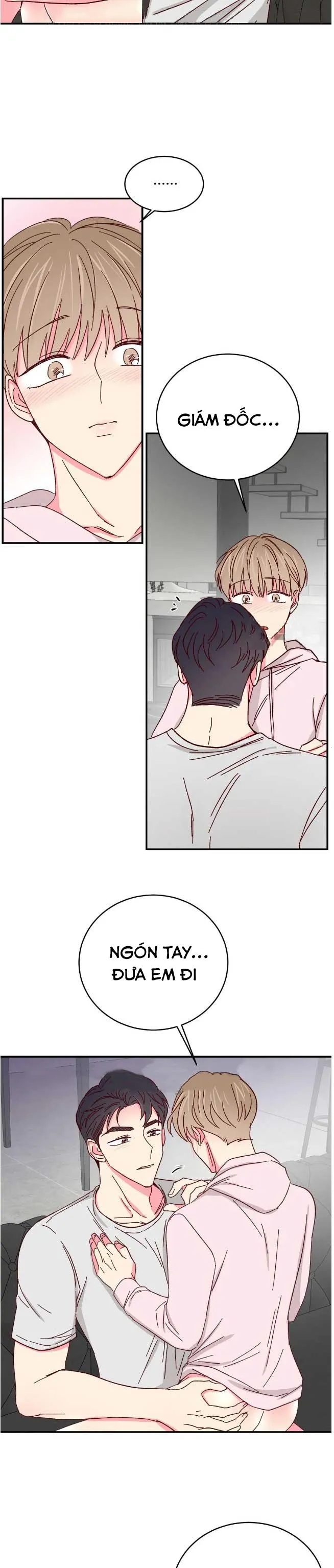 Món Tráng Miệng Của Ngài Giám Đốc Chapter 69 Trang 5