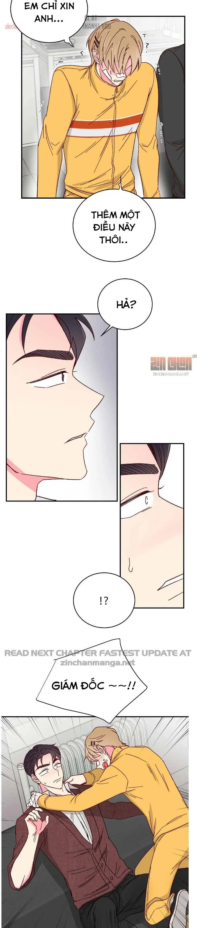 Món Tráng Miệng Của Ngài Giám Đốc Chapter 71 Trang 16