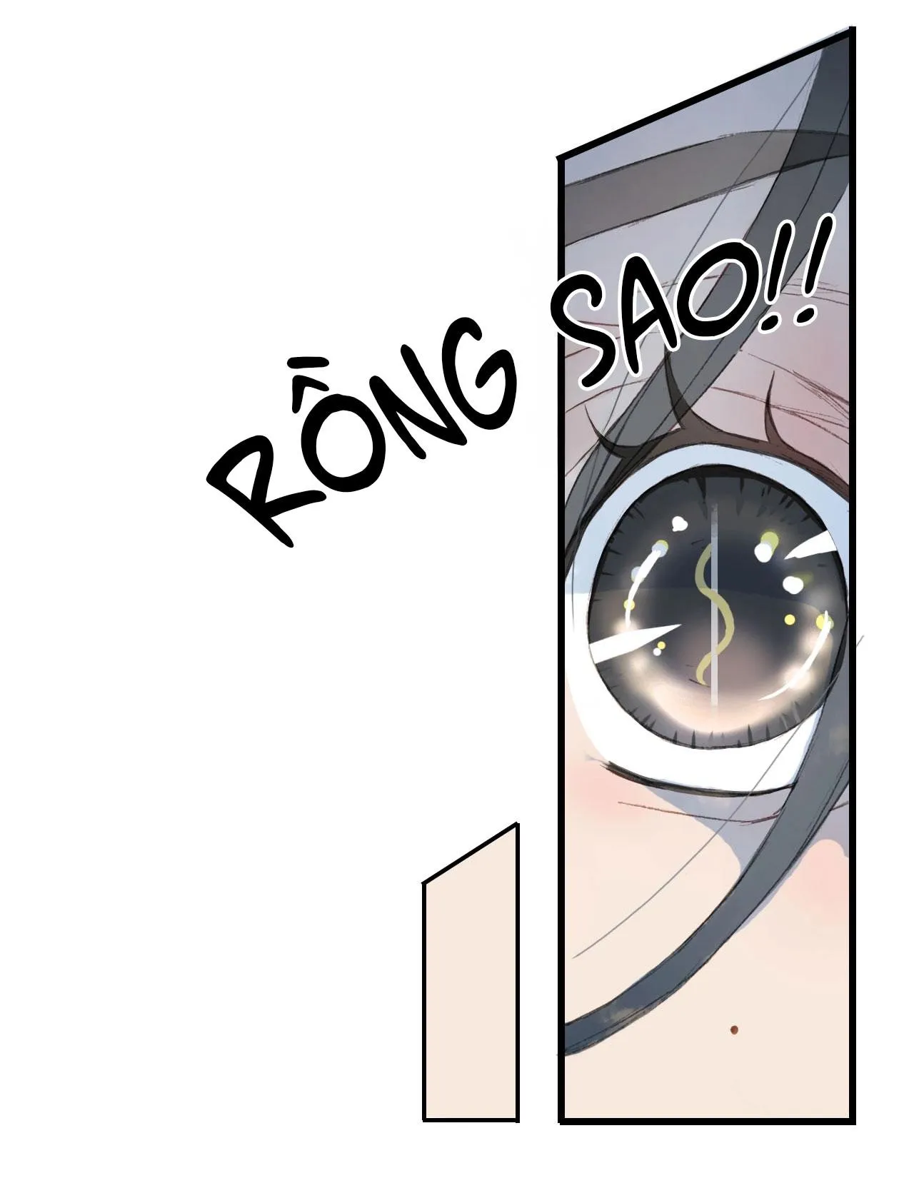 Mộng tưởng chưa đến ngàn năm Chapter 10 Trang 14