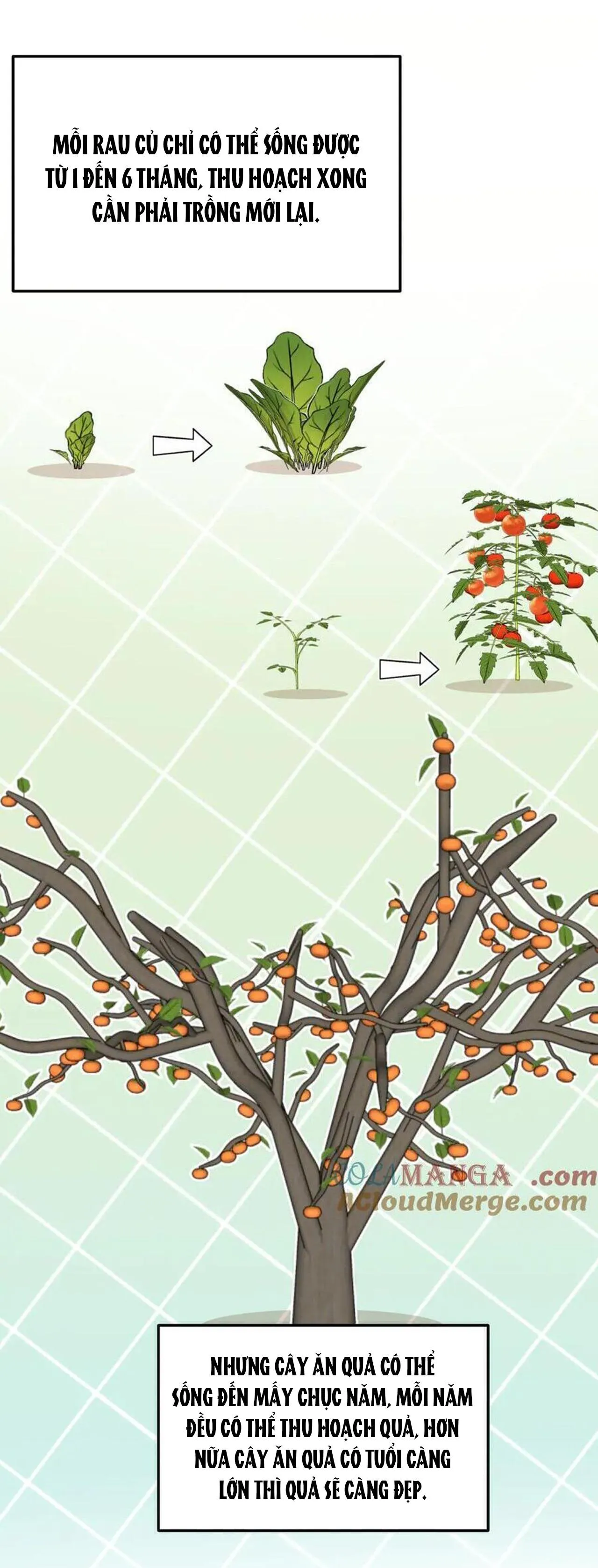 Mong Ước Của Thần Quan Là Được  Cưỡi Ác Long Thiên Cổ [END] Chapter 43 Trang 11