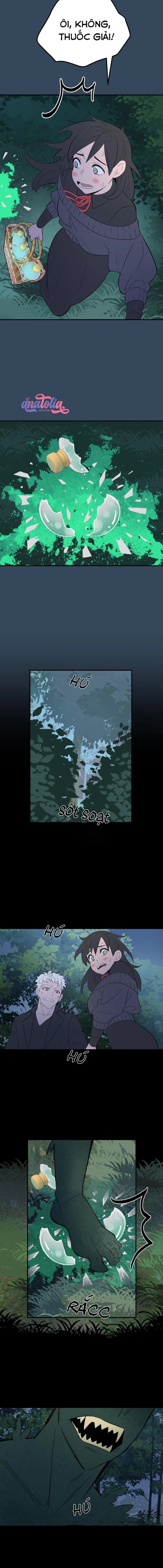 Morgana and Oz Chapter 28 Trang 16