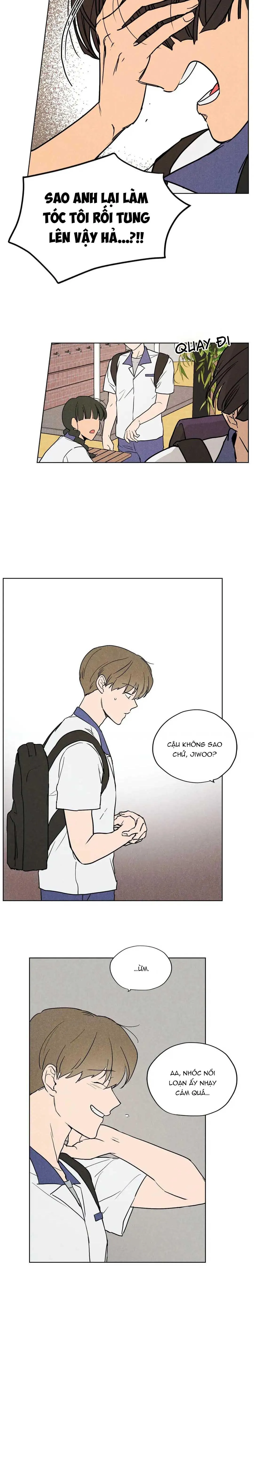 Một Bó Rau Chân Vịt Chapter 3 Trang 15