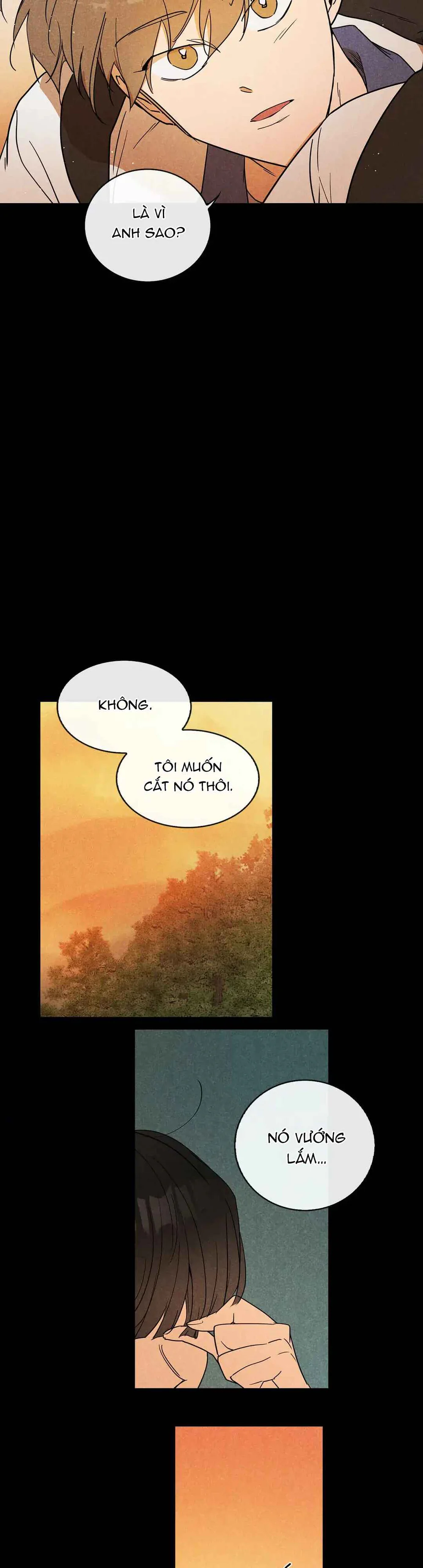 Một Bó Rau Chân Vịt Chapter 9 Trang 18