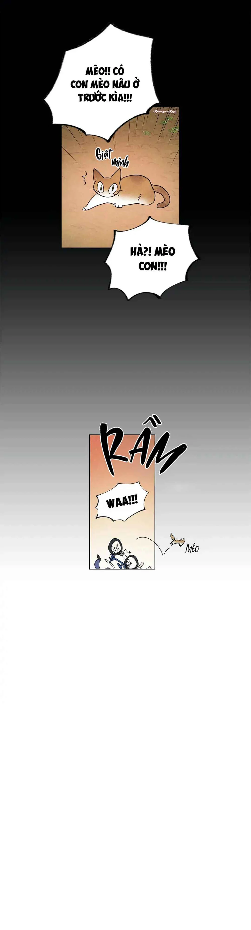 Một Bó Rau Chân Vịt Chapter 9 Trang 23