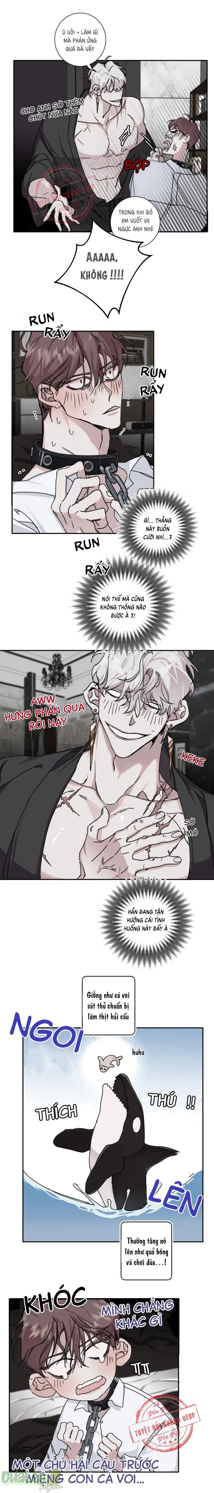 Một Chiều Lãng Mạn Chapter 3 Trang 14