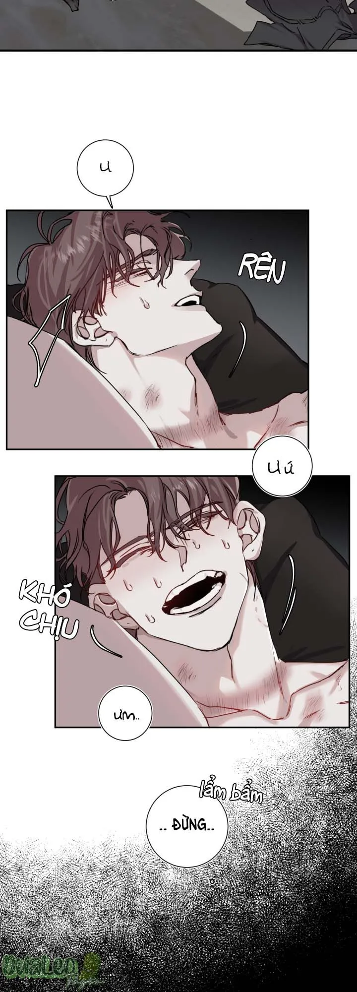 Một Chiều Lãng Mạn Chapter 4 Trang 24