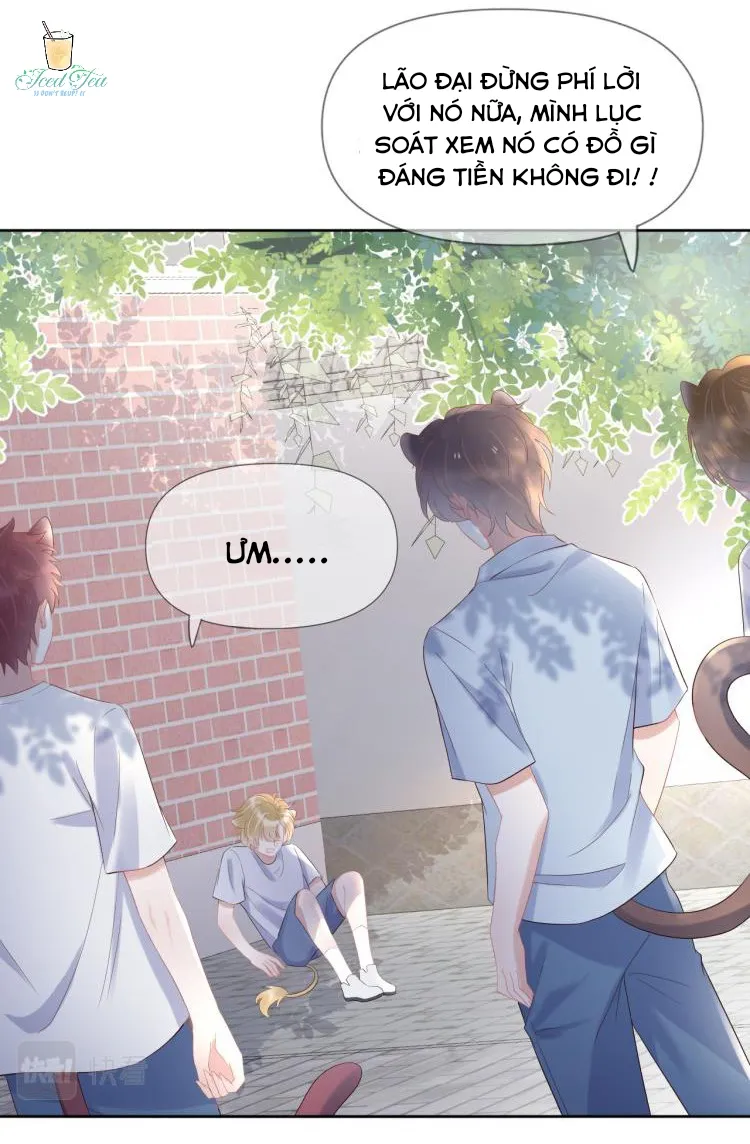 Một Ngụm Ăn Cả Thỏ Con Chapter 3 Trang 8