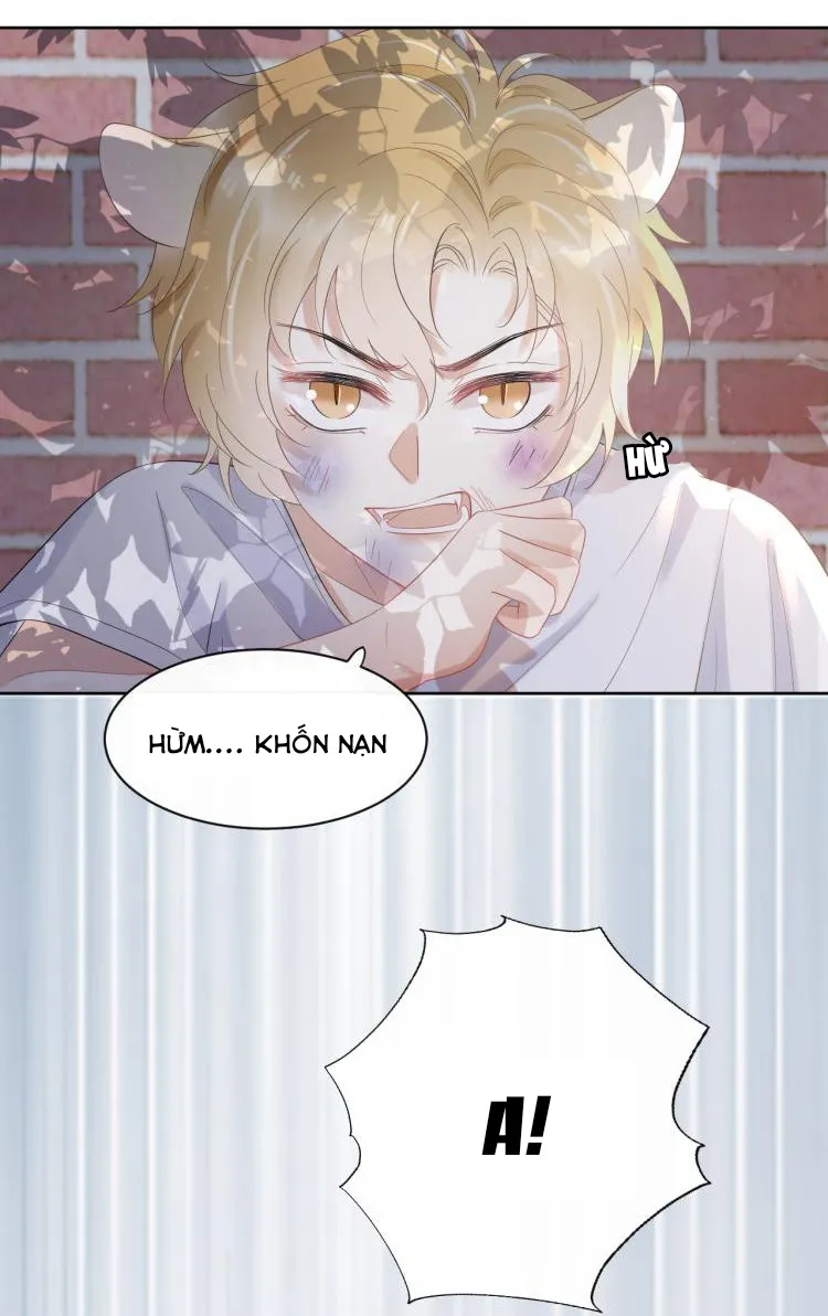 Một Ngụm Ăn Cả Thỏ Con Chapter 3 Trang 9