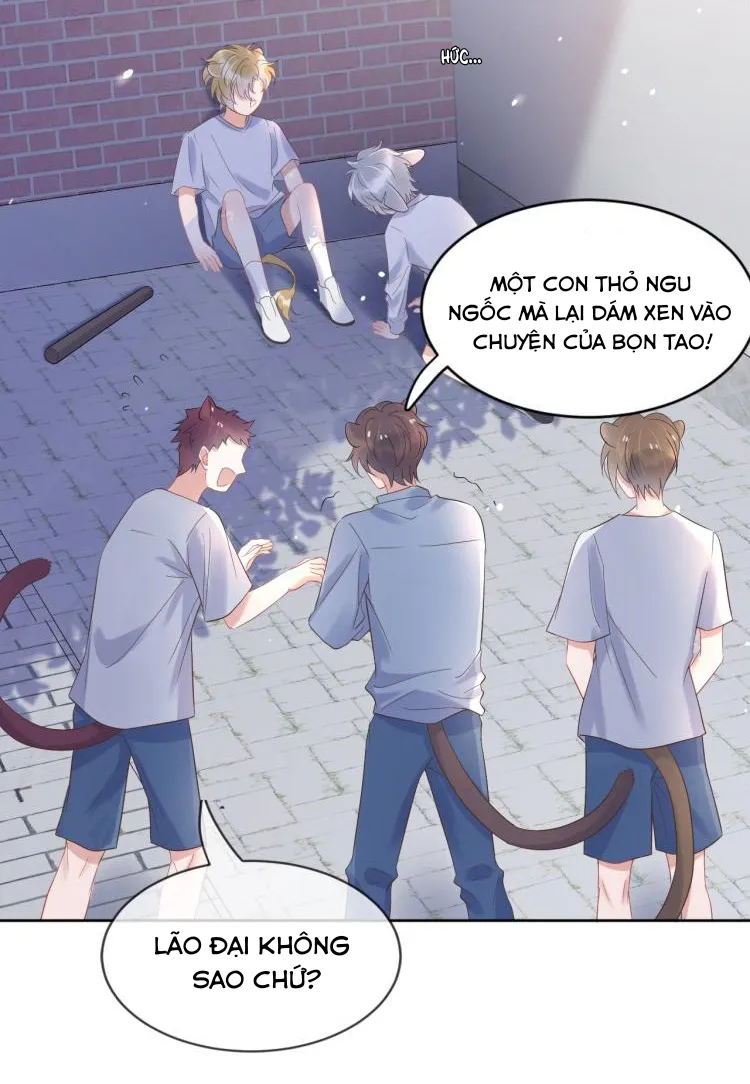 Một Ngụm Ăn Cả Thỏ Con Chapter 3 Trang 24