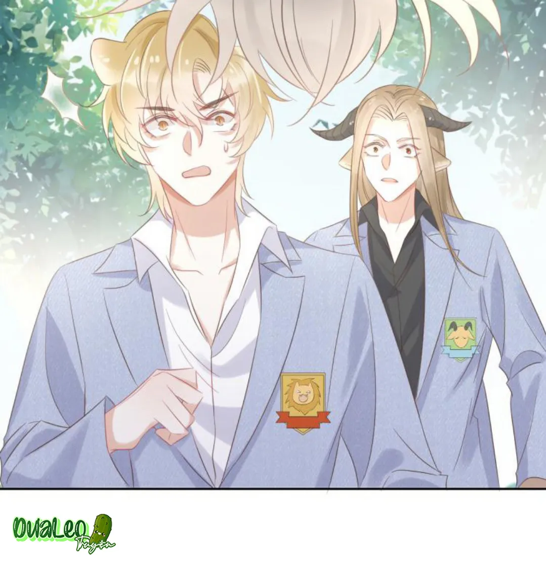 Một Ngụm Ăn Cả Thỏ Con Chapter 3 Trang 67