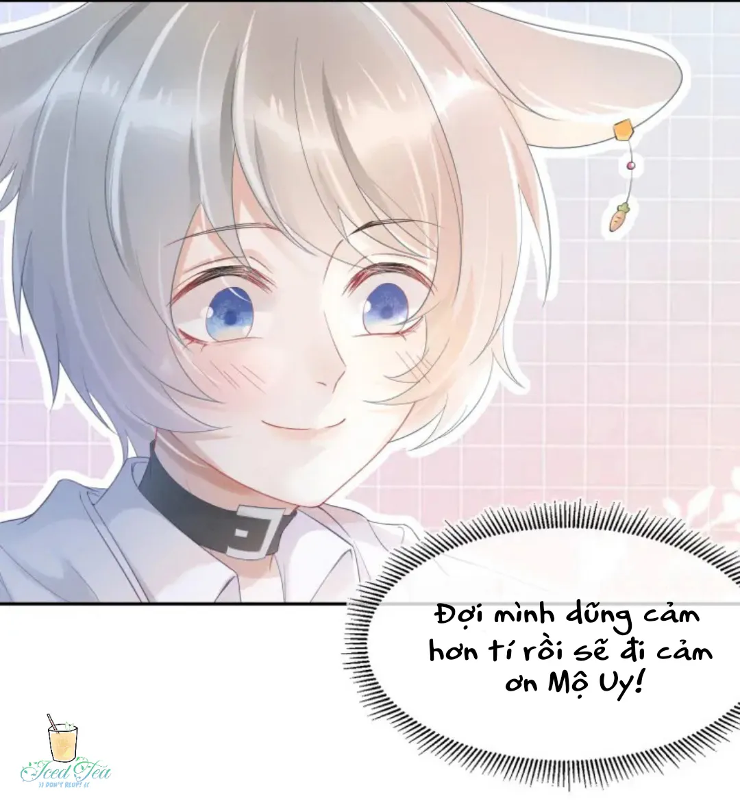 Một Ngụm Ăn Cả Thỏ Con Chapter 4 Trang 6