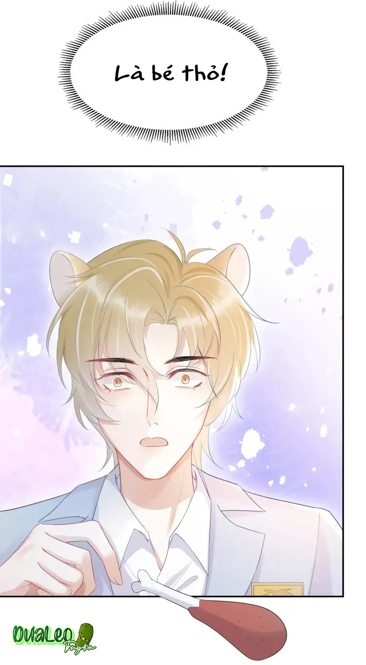 Một Ngụm Ăn Cả Thỏ Con Chapter 4 Trang 8