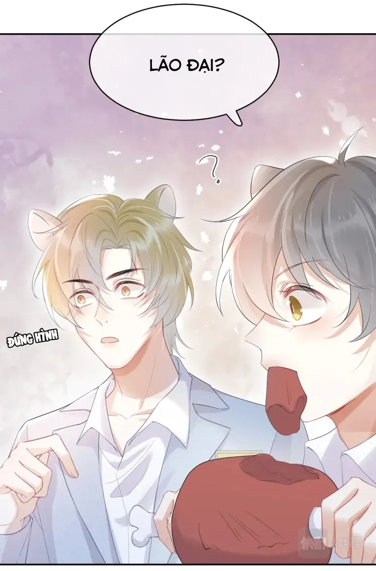 Một Ngụm Ăn Cả Thỏ Con Chapter 4 Trang 9