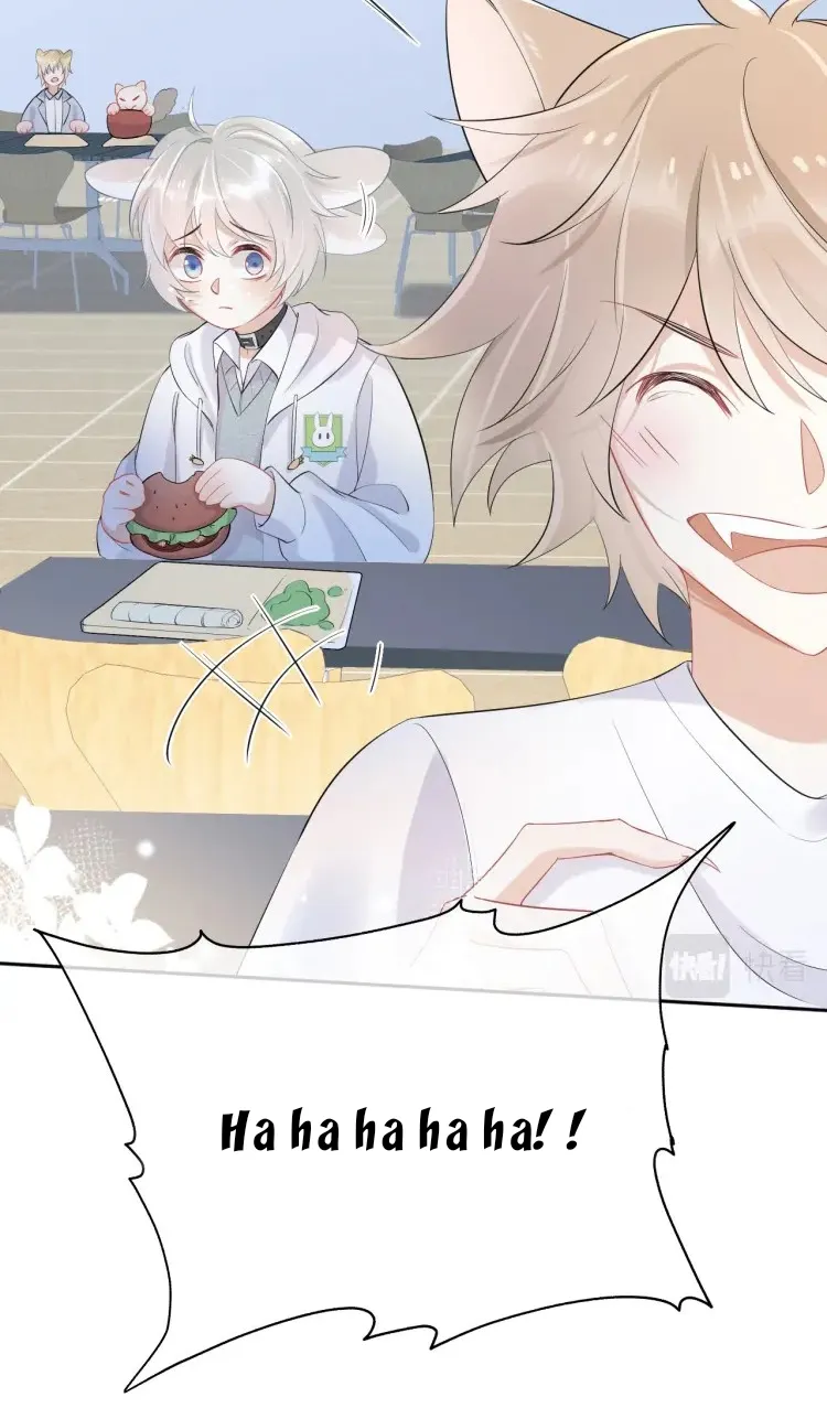 Một Ngụm Ăn Cả Thỏ Con Chapter 4 Trang 16