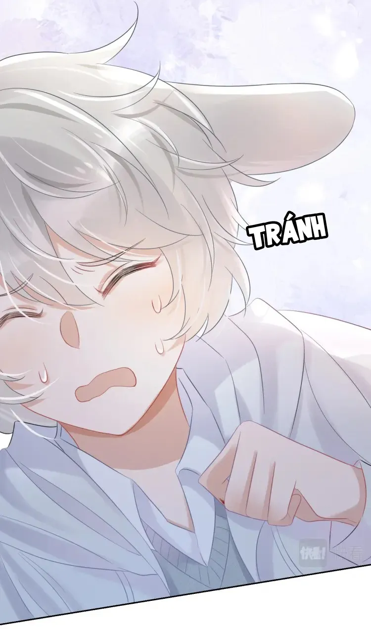 Một Ngụm Ăn Cả Thỏ Con Chapter 4 Trang 37