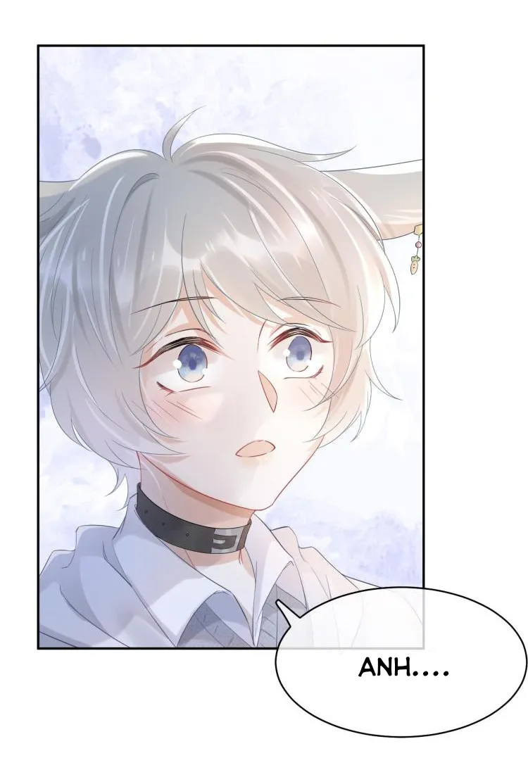 Một Ngụm Ăn Cả Thỏ Con Chapter 5 Trang 7