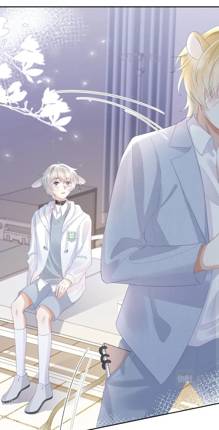 Một Ngụm Ăn Cả Thỏ Con Chapter 5 Trang 13