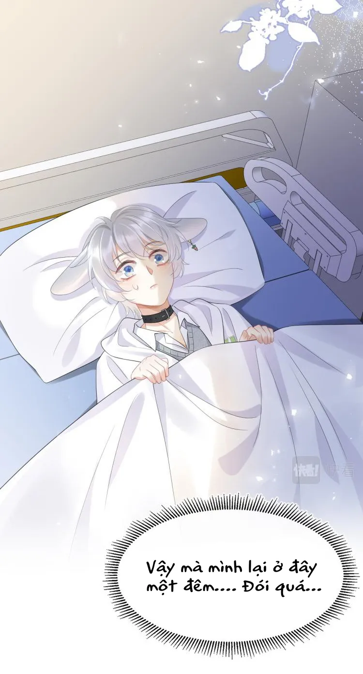 Một Ngụm Ăn Cả Thỏ Con Chapter 5 Trang 46