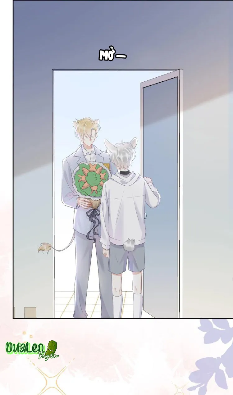 Một Ngụm Ăn Cả Thỏ Con Chapter 5 Trang 49