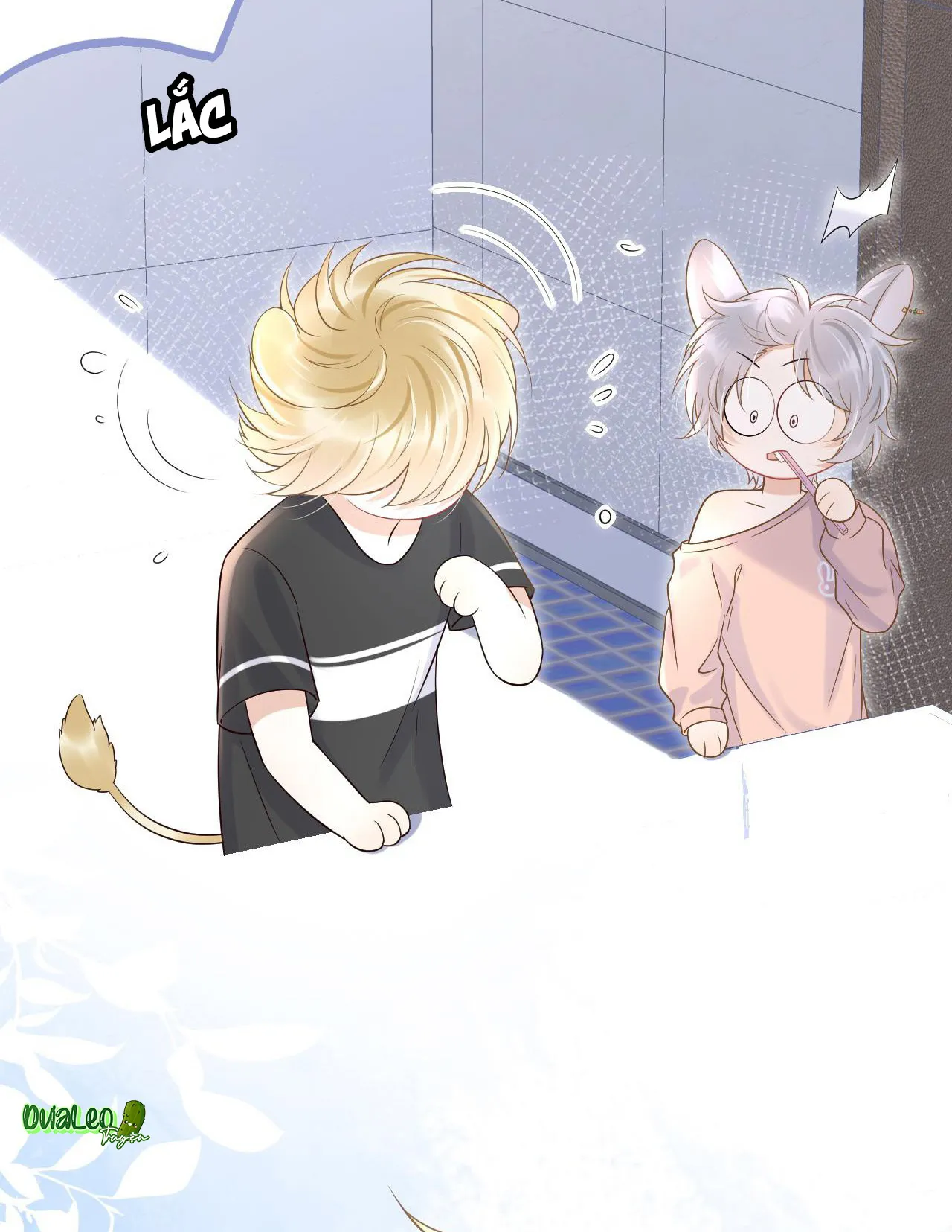 Một Ngụm Ăn Cả Thỏ Con Chapter 9 Trang 4