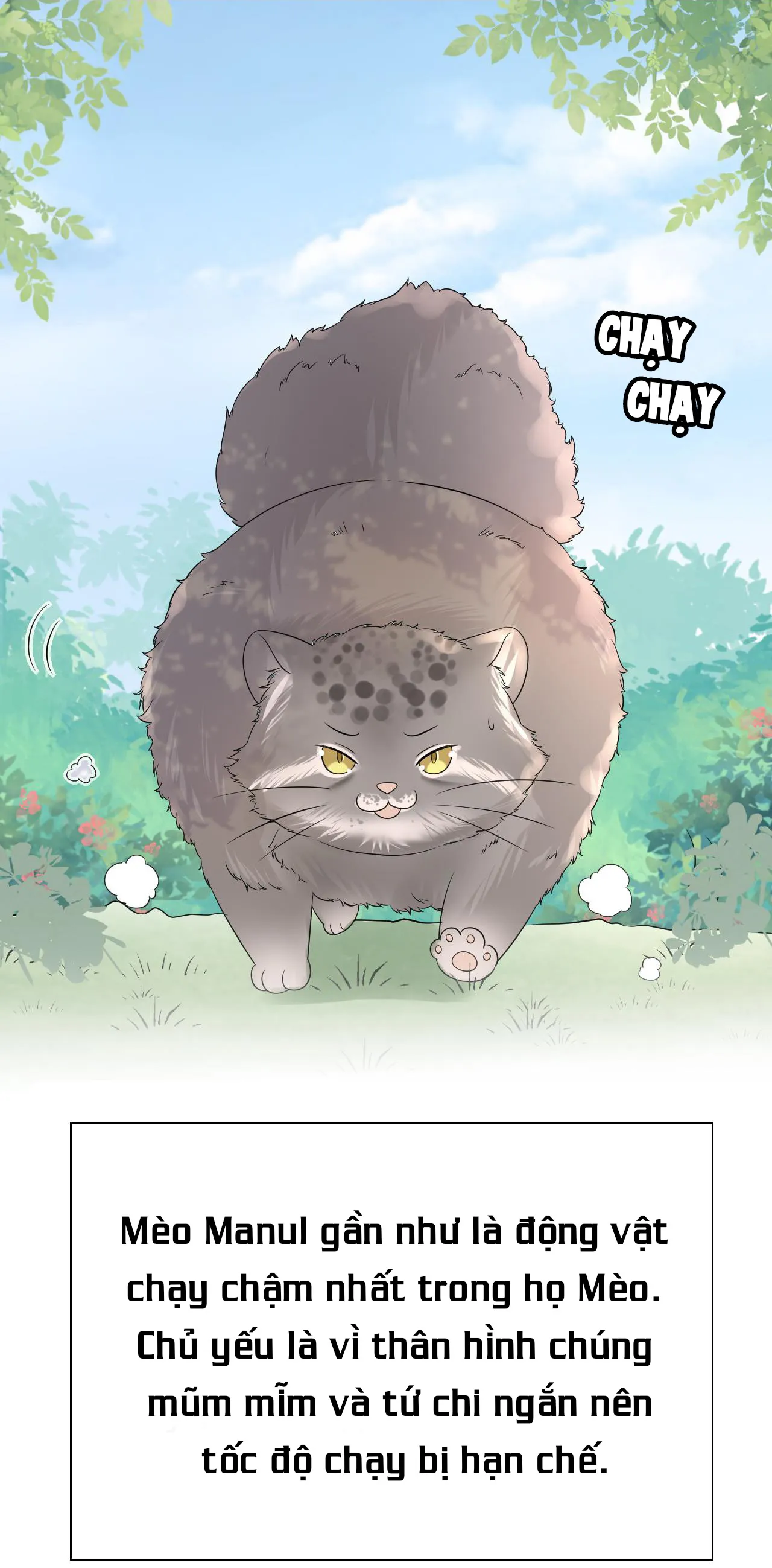 Một Ngụm Ăn Cả Thỏ Con Chapter 12 Trang 46