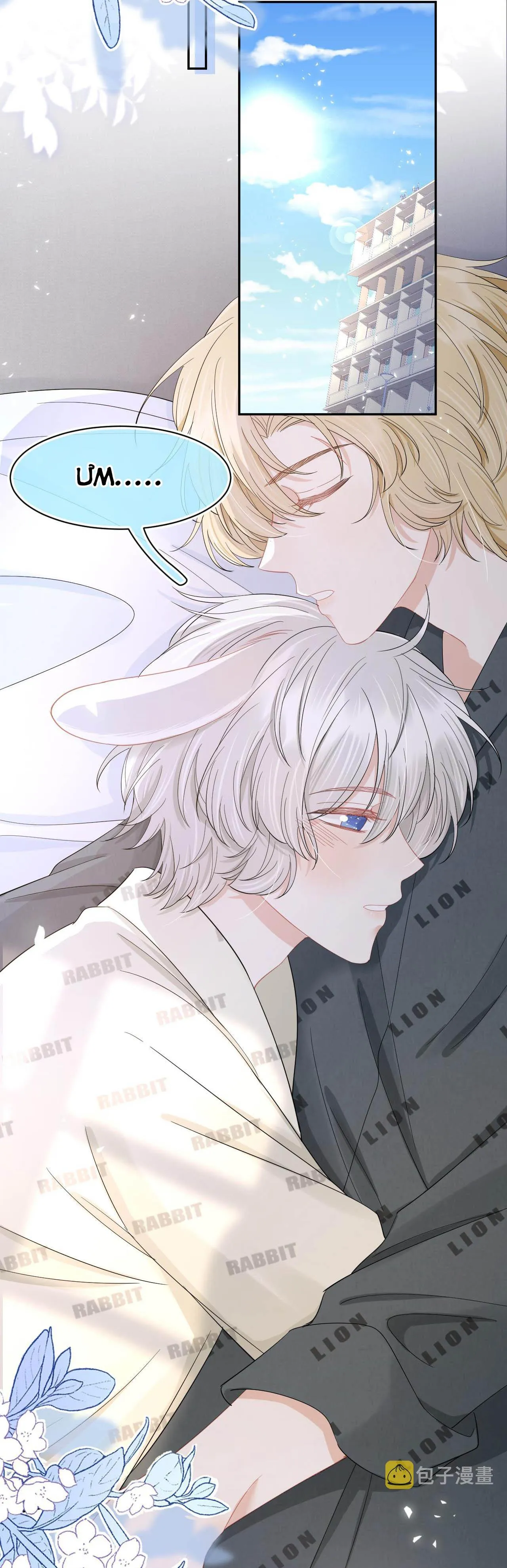 Một Ngụm Ăn Cả Thỏ Con Chapter 80 Trang 3