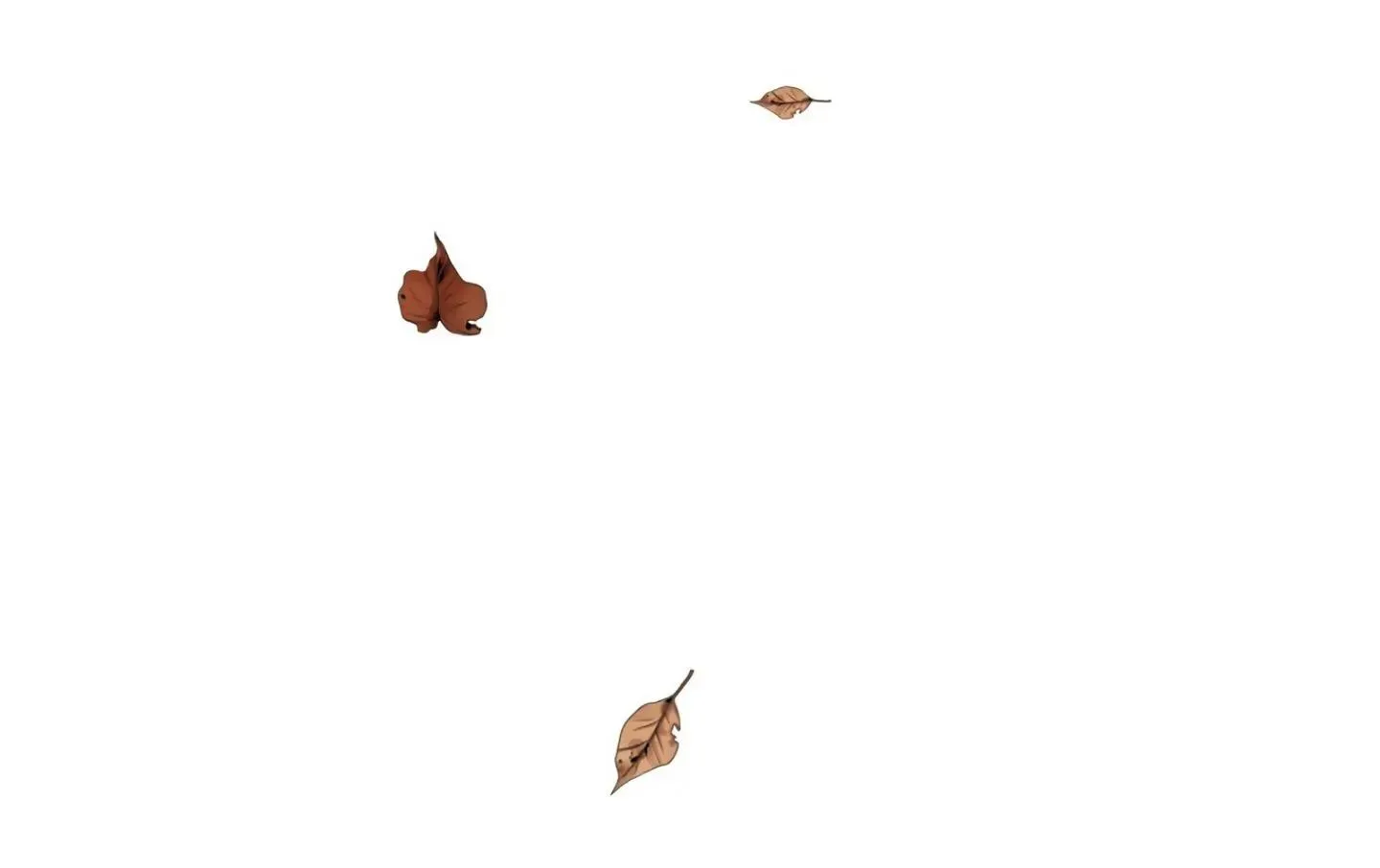 Một nhân cách khác Chapter 25 Trang 80