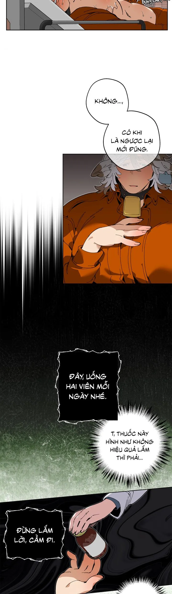 Mr.A's Farm Chapter 5 Trang 23