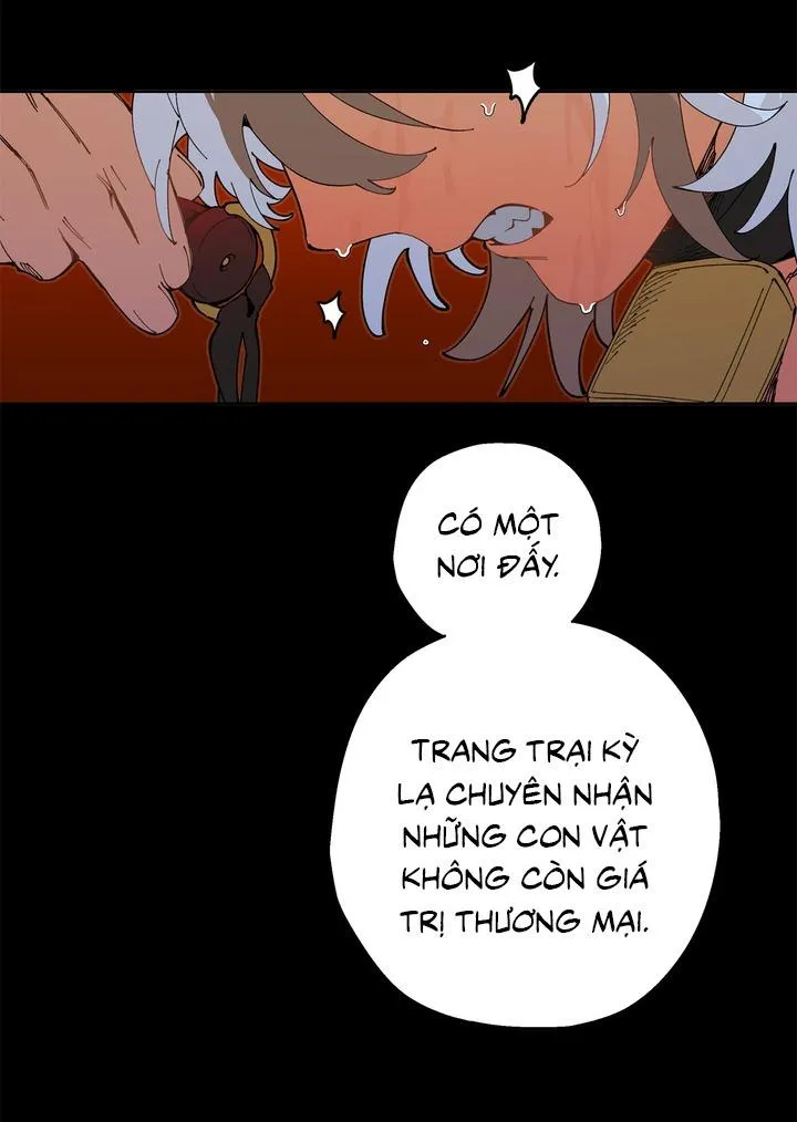 Mr.A's Farm Chapter 6 Trang 22