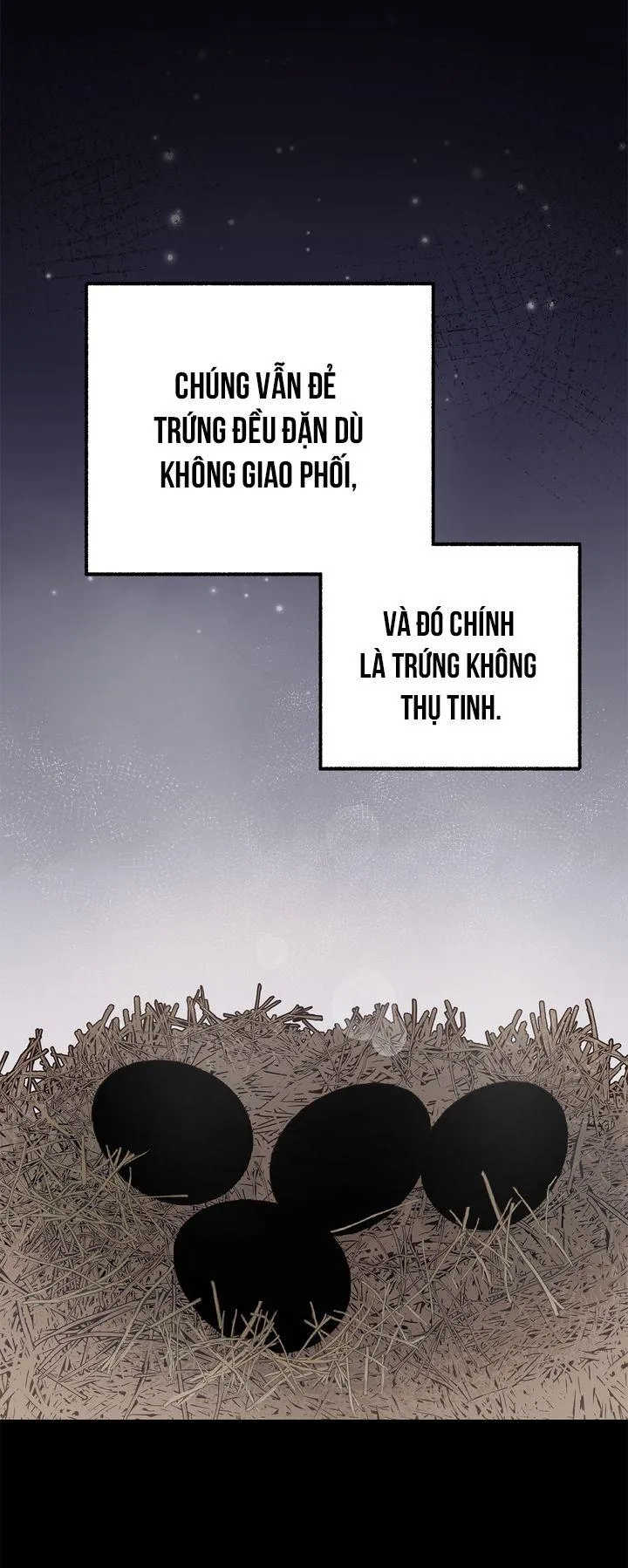 Mr.A's Farm Chapter 8 Trang 14