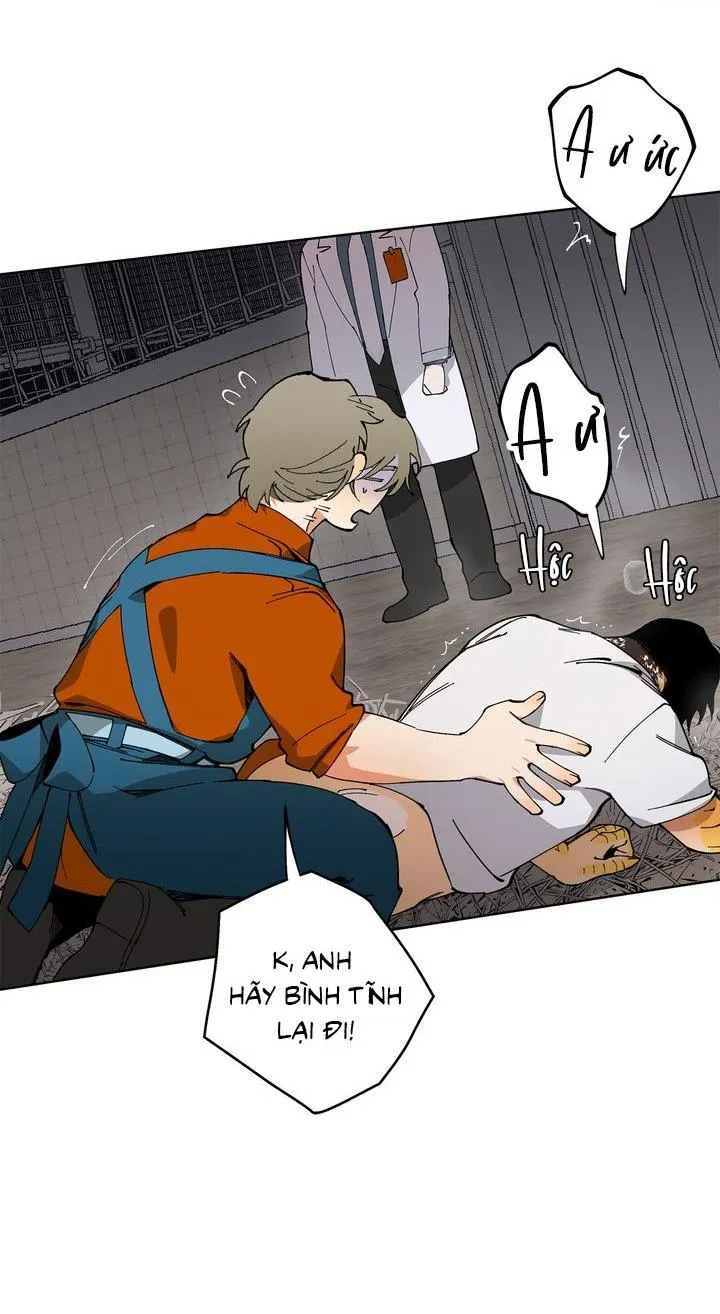 Mr.A's Farm Chapter 8 Trang 43