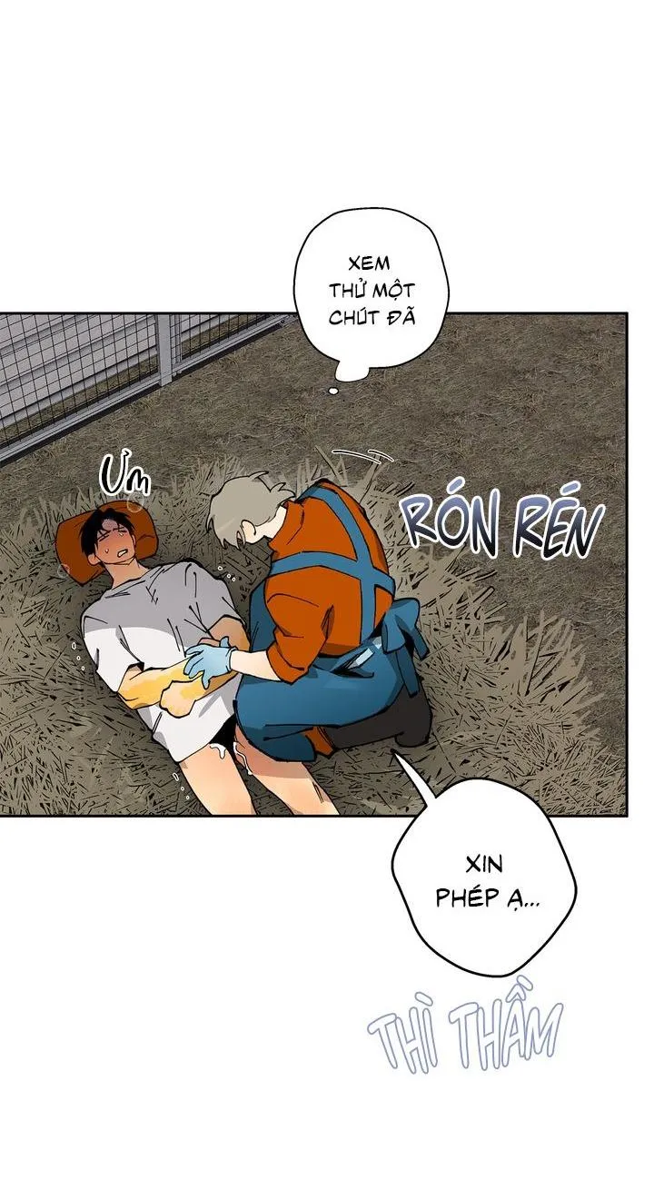 Mr.A's Farm Chapter 9 Trang 8