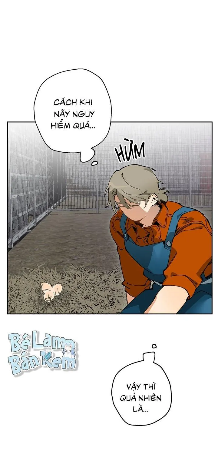 Mr.A's Farm Chapter 9 Trang 11