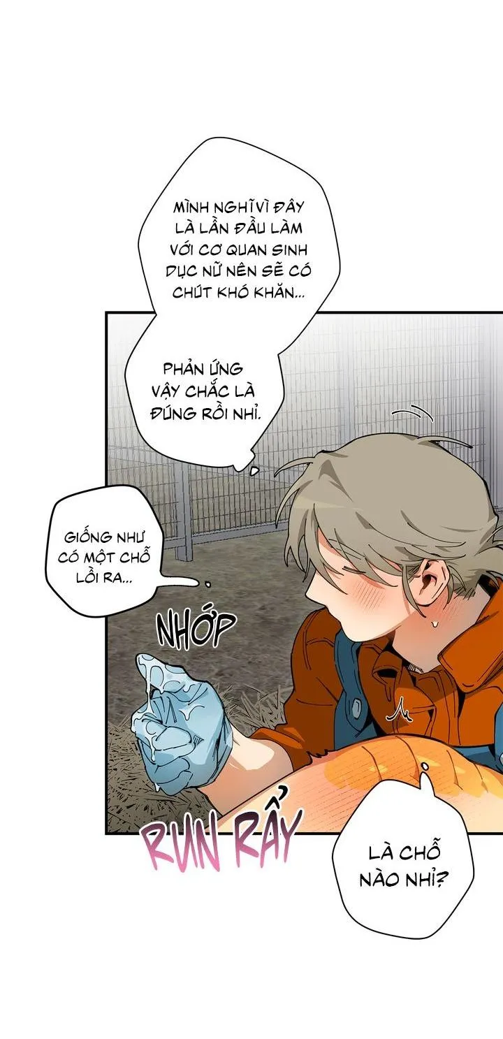 Mr.A's Farm Chapter 9 Trang 32