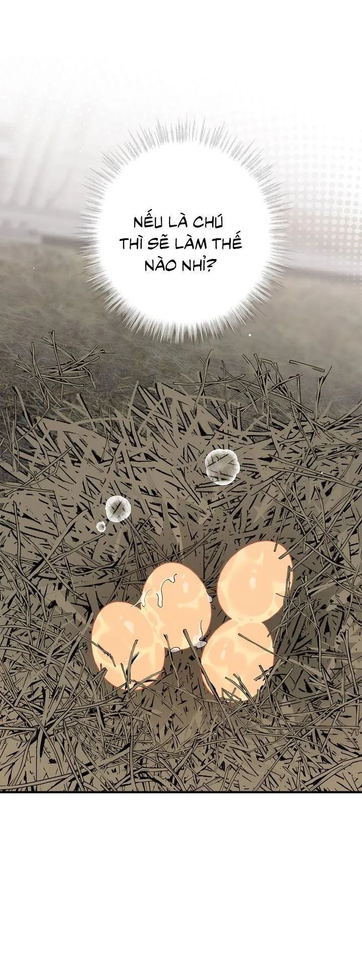 Mr.A's Farm Chapter 9 Trang 49