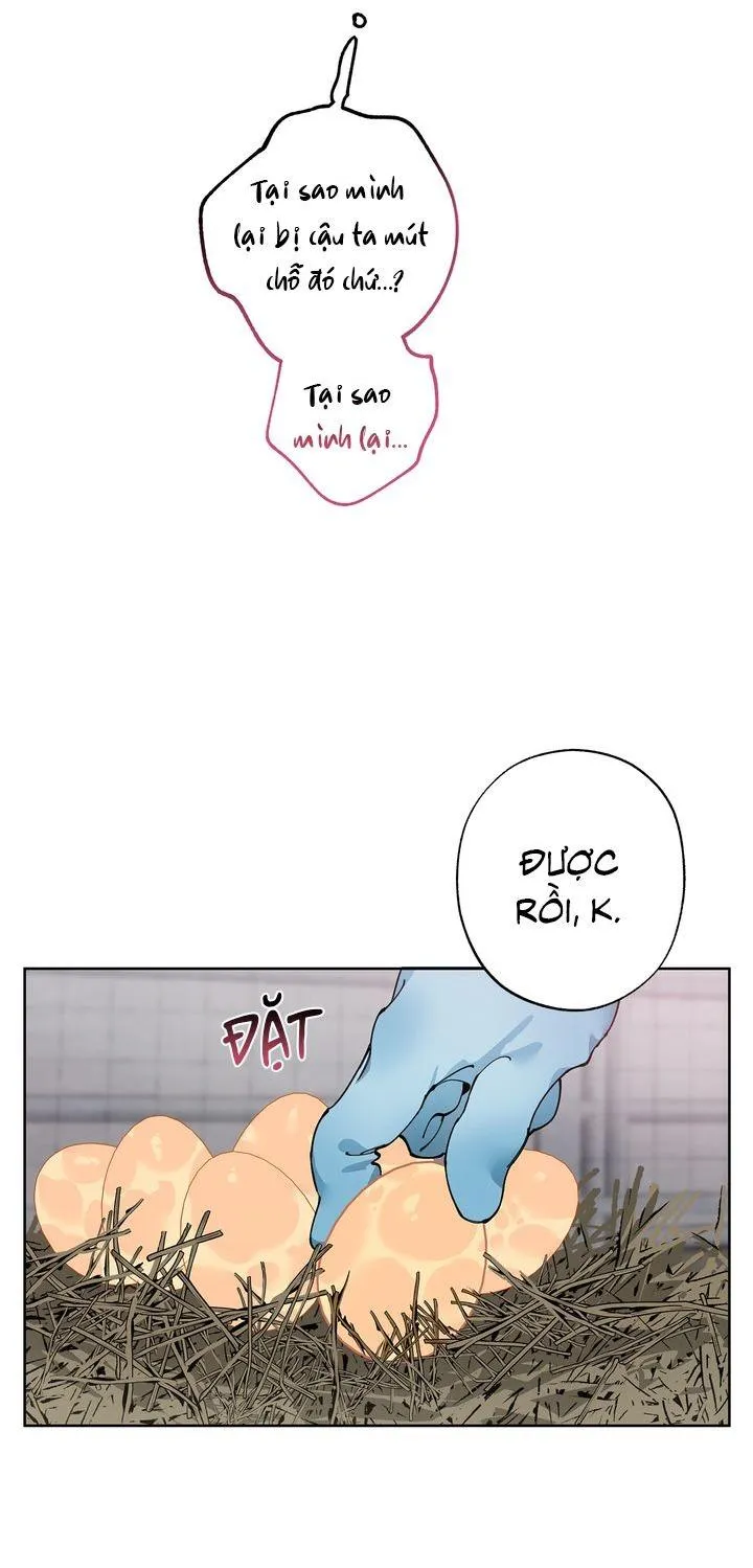 Mr.A's Farm Chapter 10 Trang 29