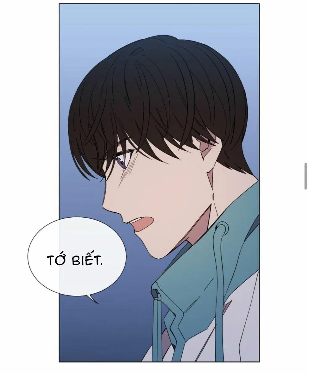 Mr. Miss Chapter 11 Trang 19