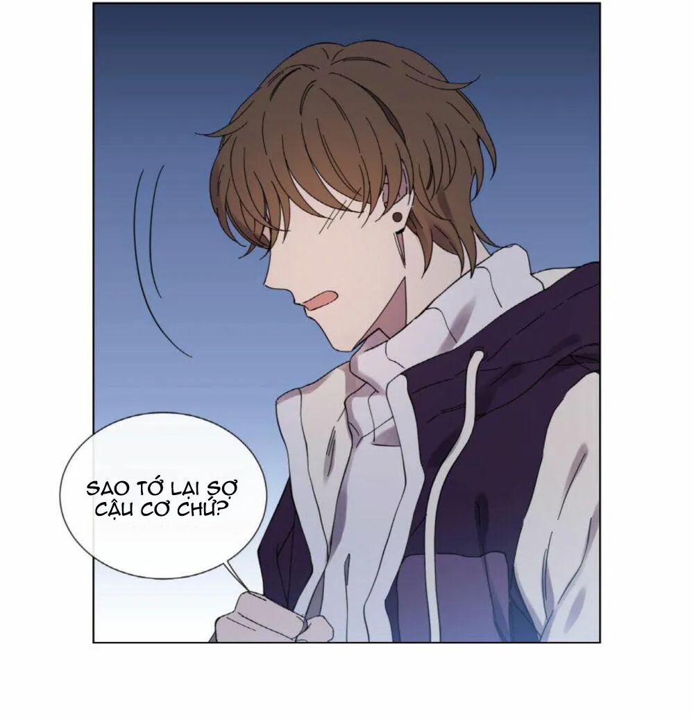 Mr. Miss Chapter 12 Trang 11