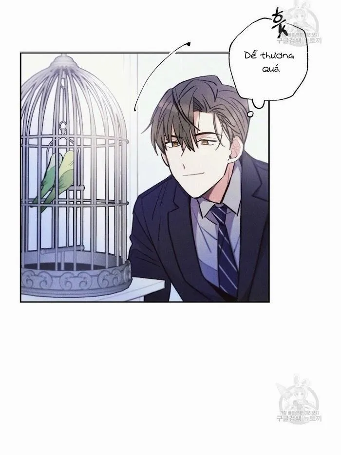 Mưa Giông Chapter 28 Trang 5