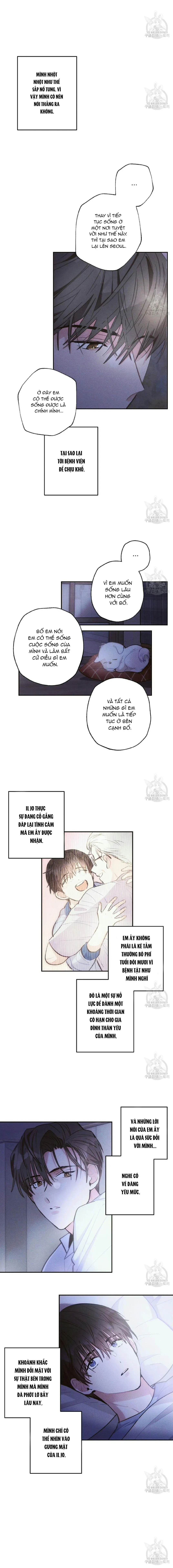 Mưa Giông Chapter 41 Trang 5