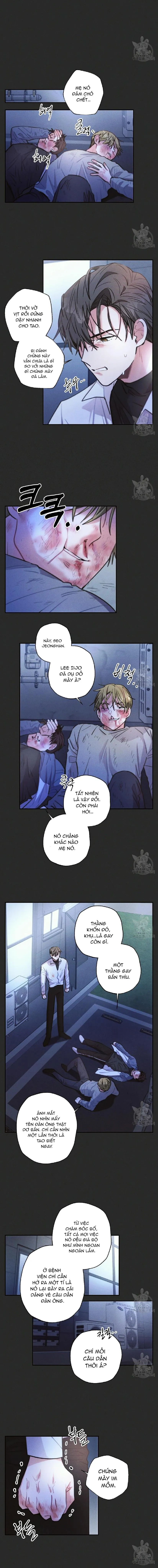 Mưa Giông Chapter 54 Trang 5