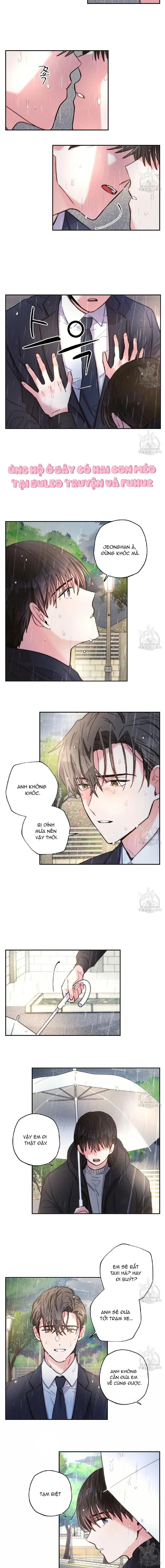 Mưa Giông Chapter 59 Trang 4