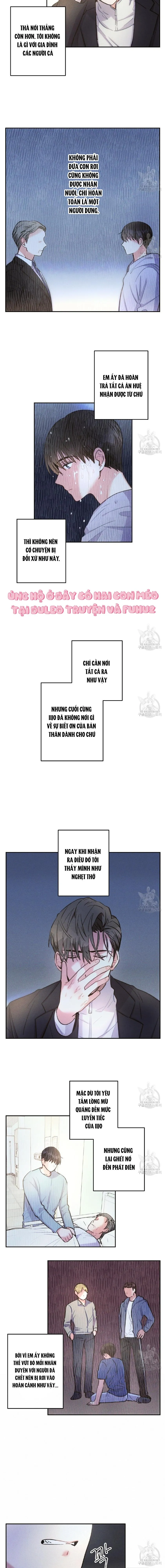 Mưa Giông Chapter 59 Trang 8