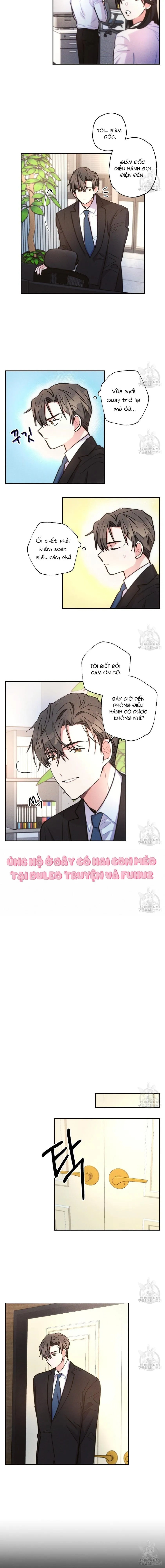 Mưa Giông Chapter 60 Trang 4