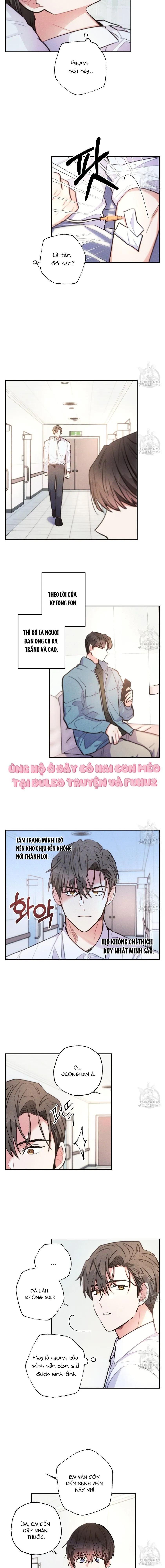 Mưa Giông Chapter 61 Trang 4