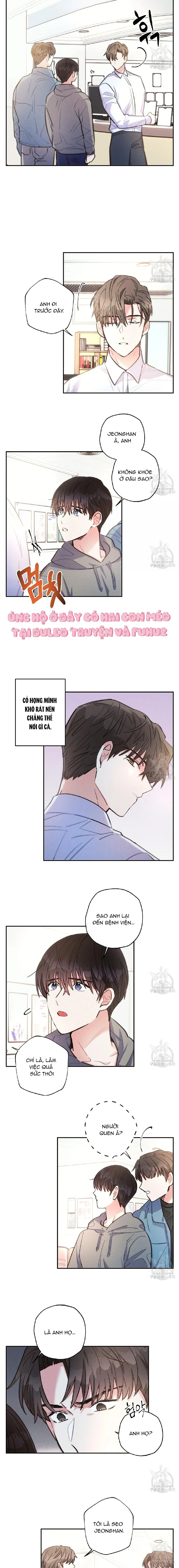 Mưa Giông Chapter 61 Trang 6