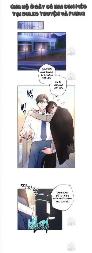 Mưa Giông Chapter 63 Trang 12